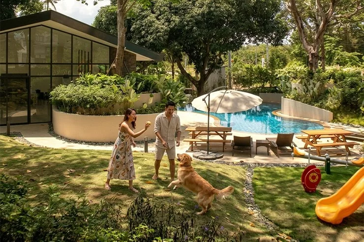 Terreno South official project image