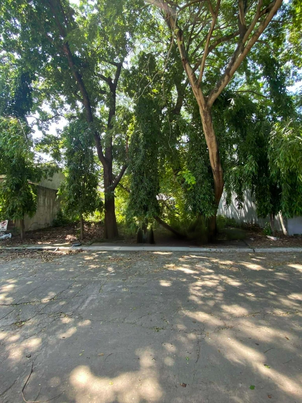 423 sqm Residential Lot for Sale in Valley Vista Village, Don Bosco, Parañaque City