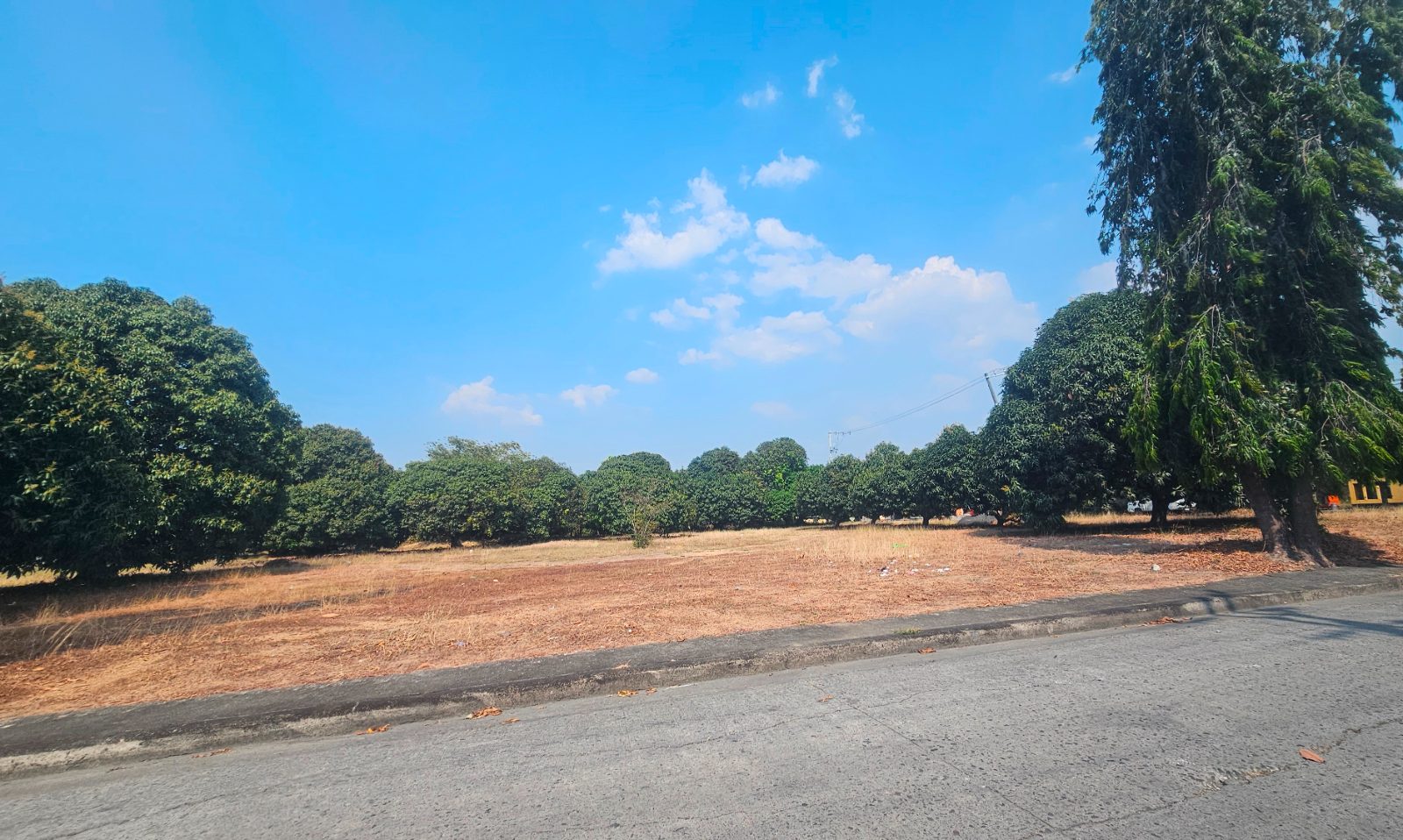 4143 sqm industrial vacant lot in Tanza Cavite near Antero Soriano Highway (Centennial Highway)