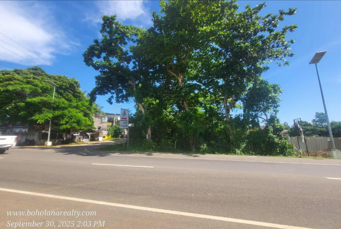 Land for sale in Lourdes, Panglao, Bohol