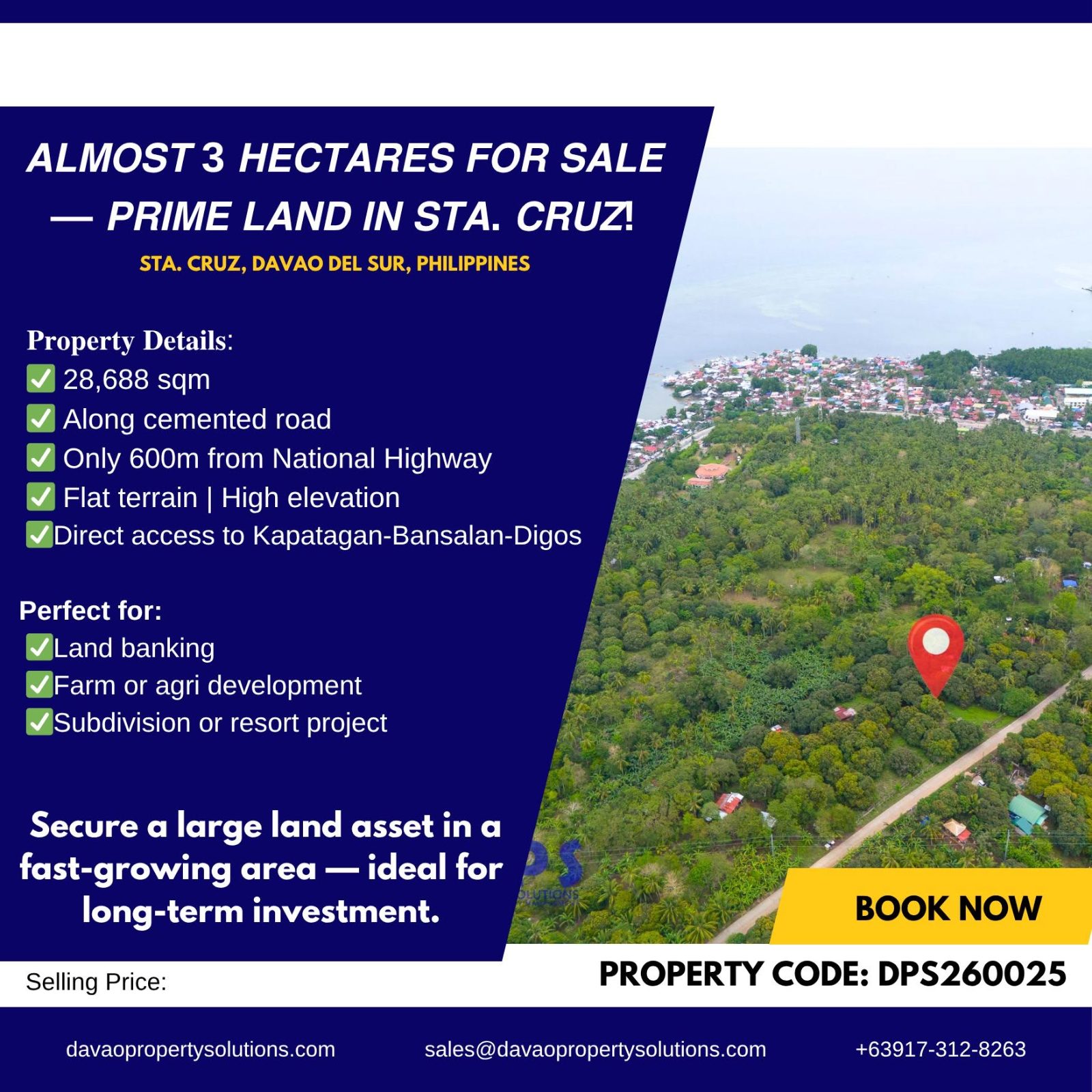 Almost 3-Hectares Prime Land for Sale in Sta Cruz, Davao Del Sur, Philippines