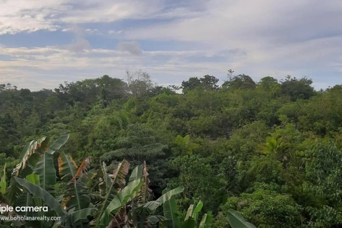 Lot For Sale Near Camella Bool Tagb Bohol 2nd Lot with Access Road