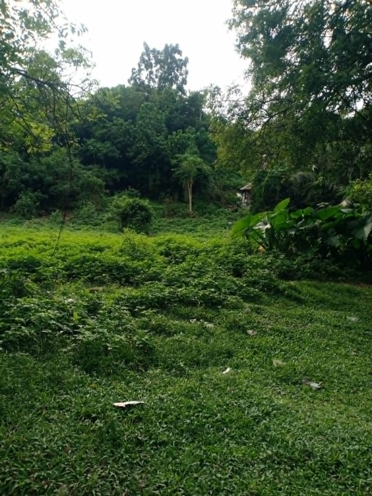 Vacant lot for sale in Yati Liloan Cebu