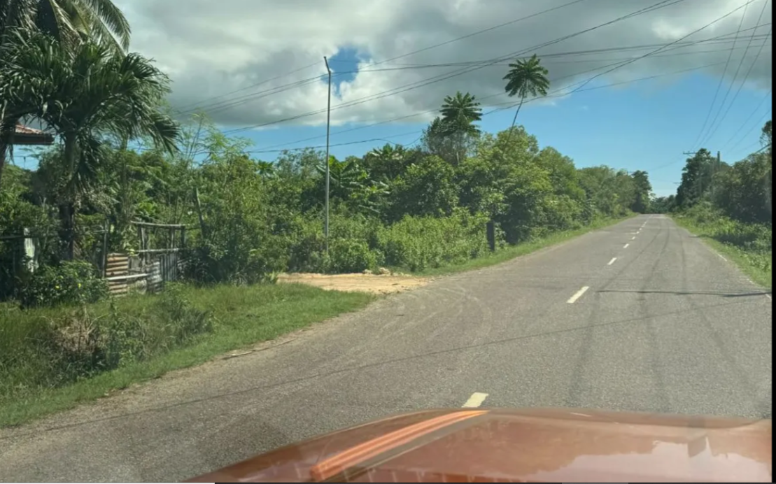 Land for sale in Bingag, Bohol