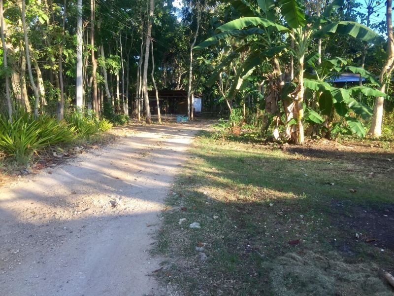 1,100sqm Lot for Sale in Dao, Dauis