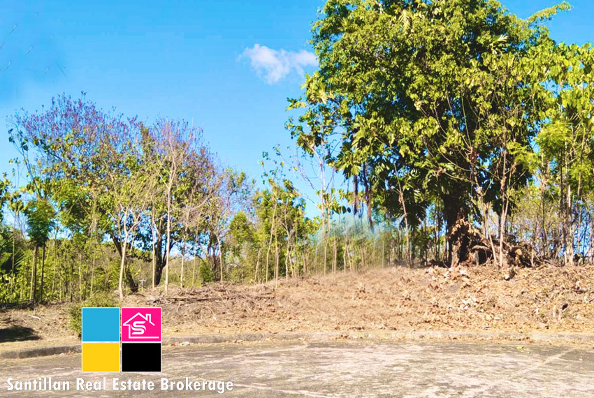 Residential Lot for Sale at Maria Luisa North The Heritage Mandaue Cebu