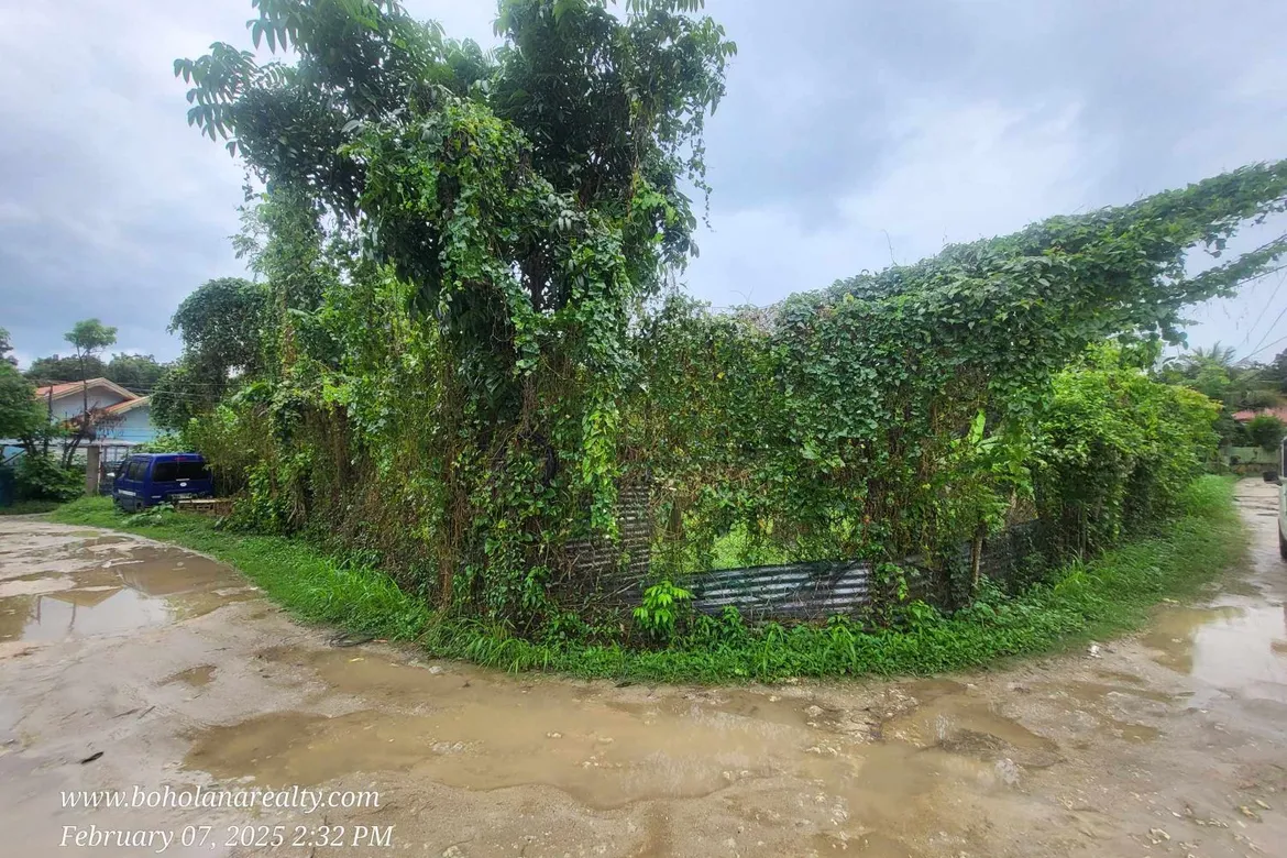 Land for sale in Manga, Tagbilaran City, Bohol
