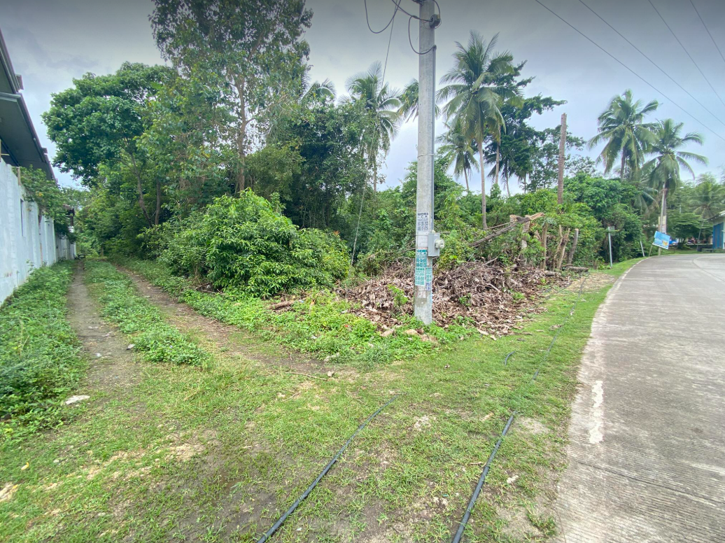 3,558 SQM Prime Highway Lot for Sale with Two Access Roads | Near Mango House Panglao Hotel, Libaong, Panglao, Bohol