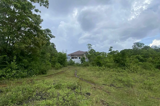 1,009 sqm Lot for Sale in BINGAG, DAUIS, BOHOL