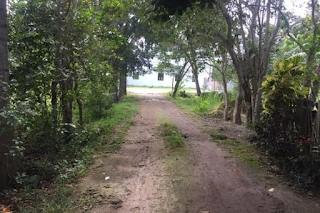 Lot for sale in Dao, Dauis, Bohol