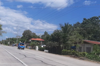 1.1Hectares For Sale in Dauis, Bohol | BOHOLANA REALTY