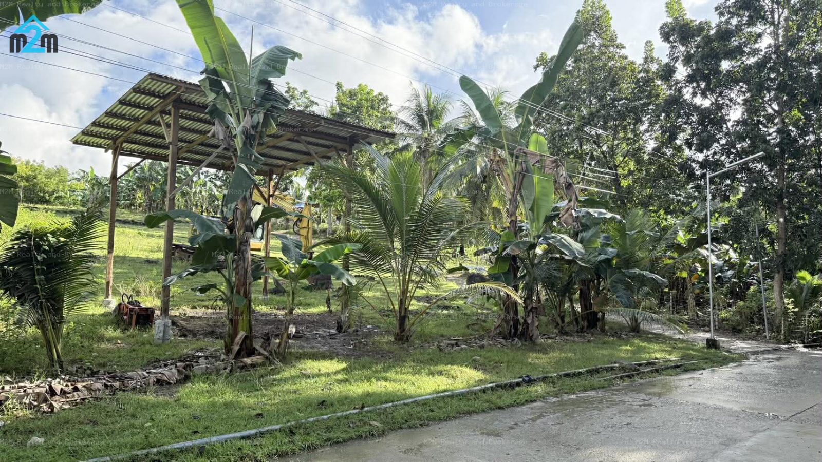 Residential Lot for Sale in Badian, Cebu City