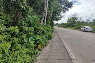 Land for Sale in Dao, Dauis, Bohol