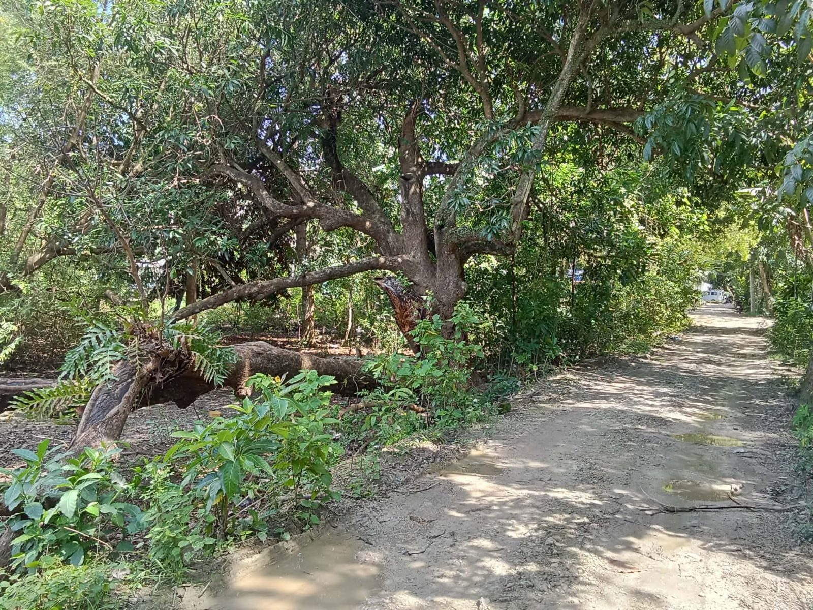 LOT FOR SALE IN ESTACA , COMPOSTELA CEBU