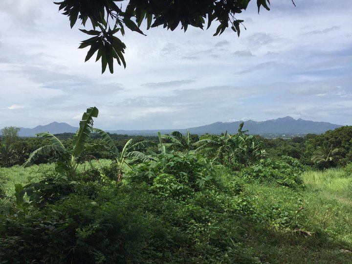 P500/sm Mountain Top view sea&mountains, cool 4 has FARM LOT, TUY, BATANGAS