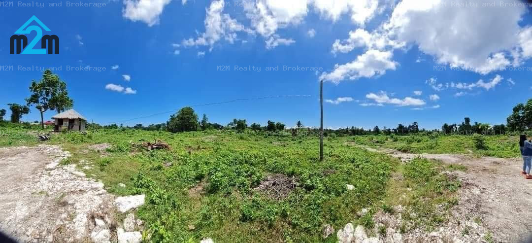 Residential Lot for Sale in Dumanjug, Cebu City