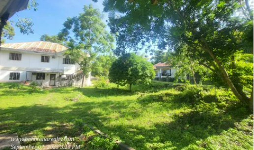 Lot for sale in Tawala, Bohol