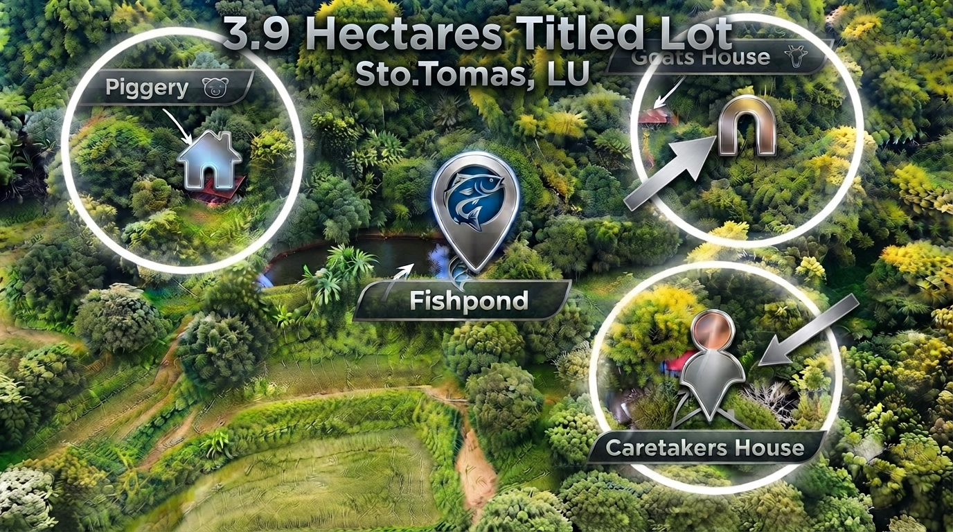 3.9-Hectare Farm Lot for Sale in Santo Tomas, La Union