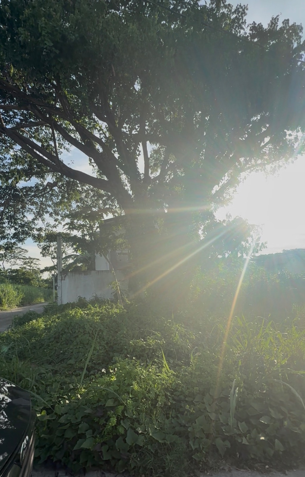 Rush Lot For Sale in Vineyard Dasmarinas Cavite Near SM Dasma
