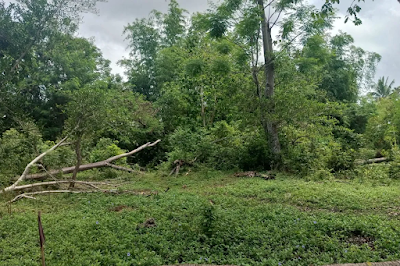 Land for sale in San Isidro, Bohol
