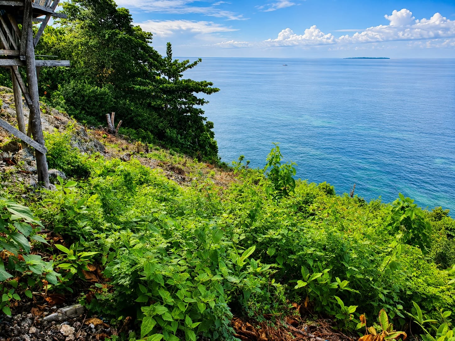 🌊2,056 sq.m. Titled Cliff Lot for Sale