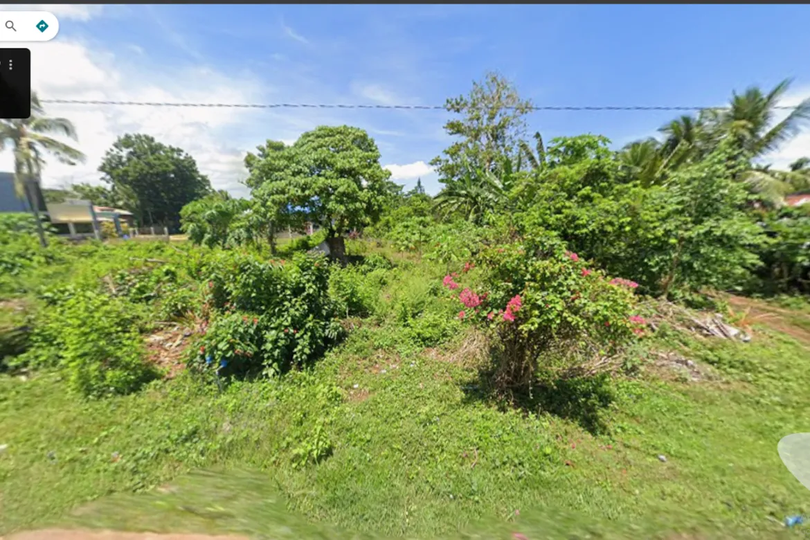 Lot for Sale – Poblacion, Panglao PANGLAO, Philippines