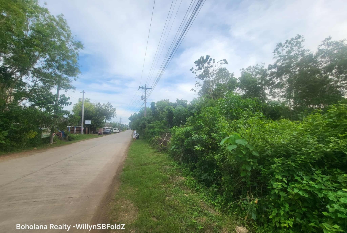 Prime 9.2 Hectares Land For Sale in Libaong, Panglao, Bohol – Ideal for Residential or Commercial Projects | Along Provincial Road