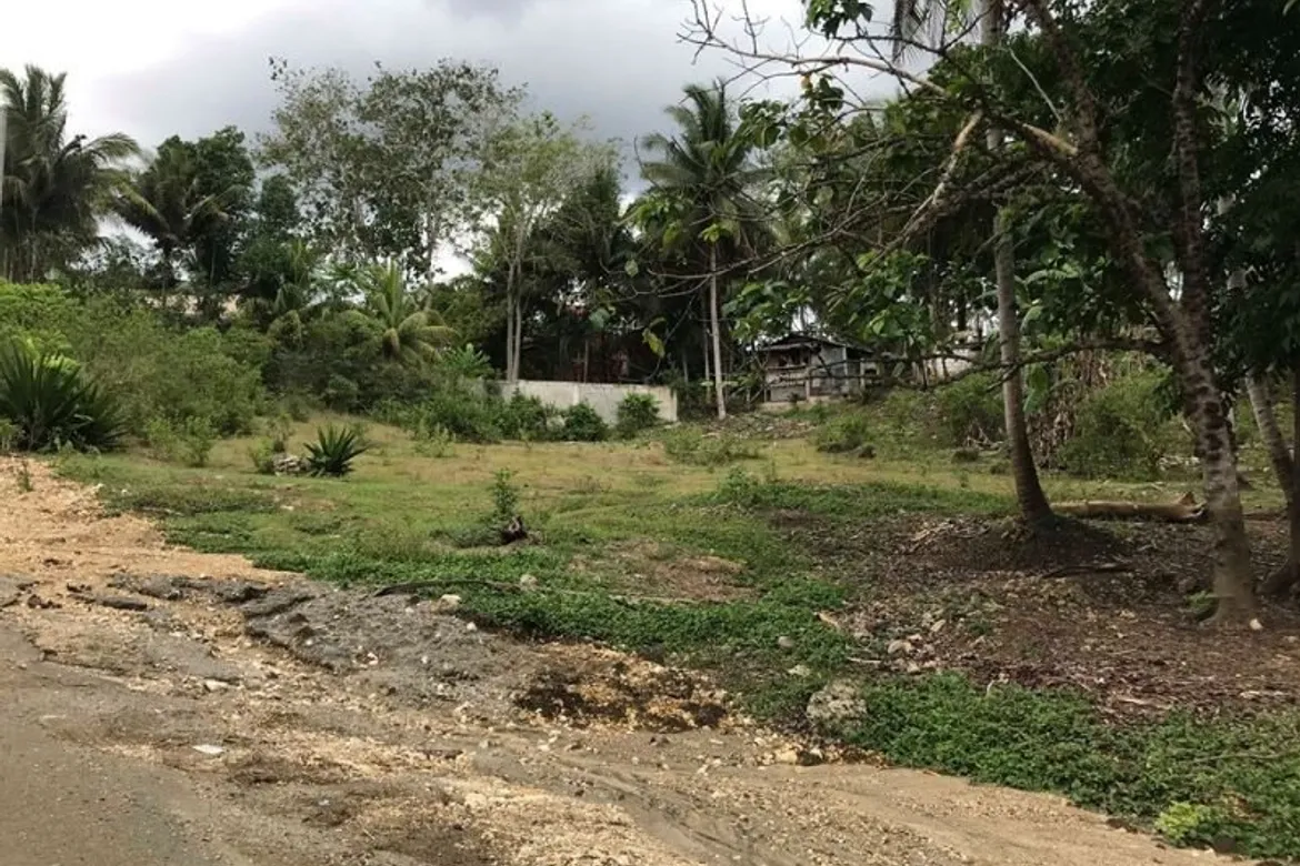 Land for sale in Tiptip, Tagbilaran City, Bohol