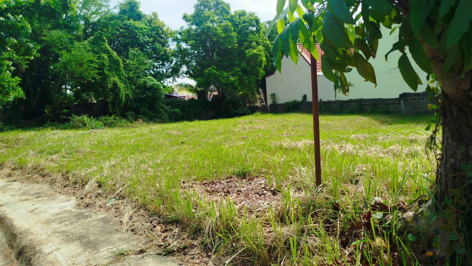 331 SQM RESIDENTIAL LOT, WEDGEWOOD SUBDIVISION, STA BARBARA, PANGASINAN