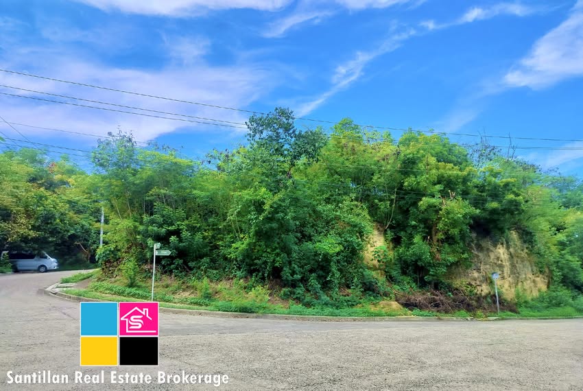 EMERGENCY SALE CORNER LOT AT THE HERITAGE MARIA LUISA NORTH SUBDIVISION MANDAUE CEBU