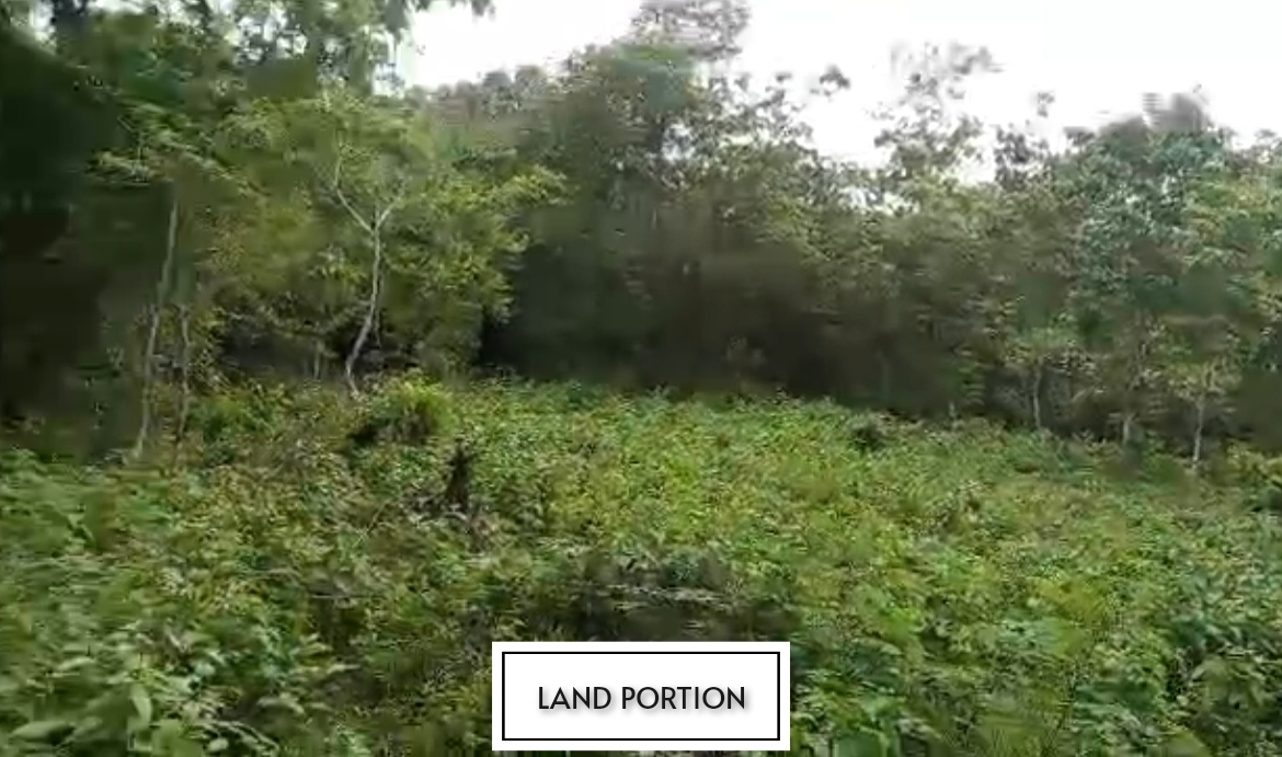 Lot for Sale in Anda, Bohol