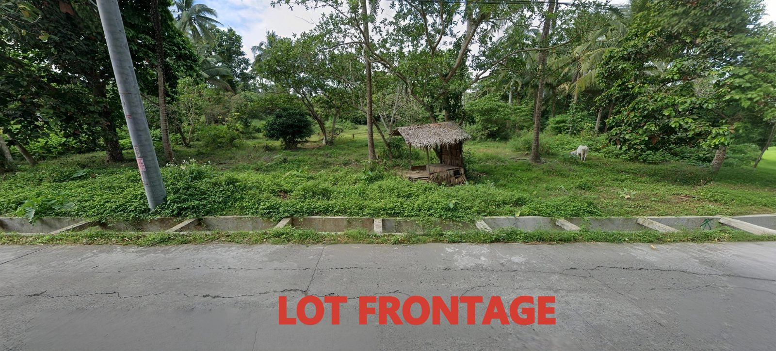 5 Hectares Cheap Farm Lot for Sale in Alfonso, Cavite only 10 minutes away from Tagaytay City