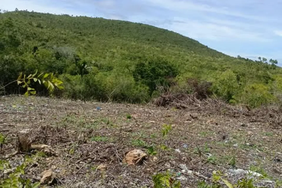 Mountain and Sea View Lot for Sale – Mariveles, Dauis, Bohol DAUIS, Philippines