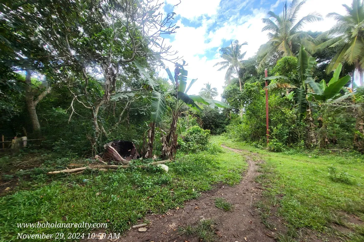 7,763 sqm Land For Sale at Tawala Panglao Island Bohol | BOHOLANA REALTY