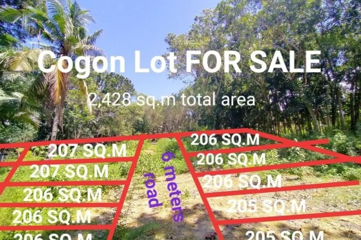 Lot for sale in Cogon, Tagbilaran City