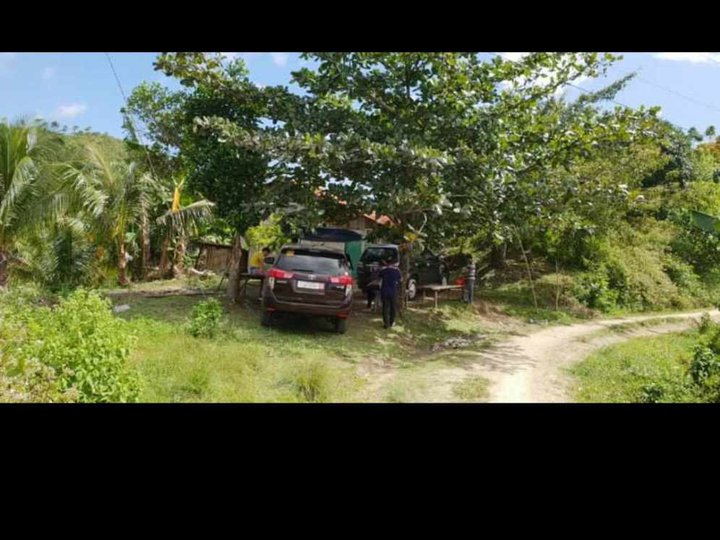 Barangay Maghan-ay,Tuburan,Cebu 1.3 has near Colonia Elementary School