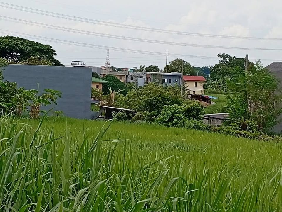 Robinsons Vineyard Lot For Sale Near in SM Dasmarinas
