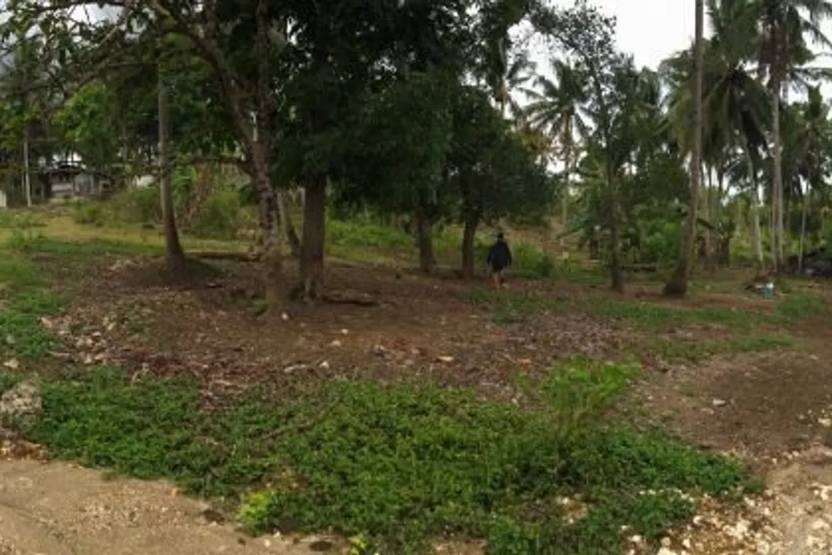For Sale 1,643 sqm Lot Tiptip Tagbilaran City Bohol